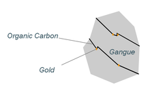 Gold and carbon formation inside the ore